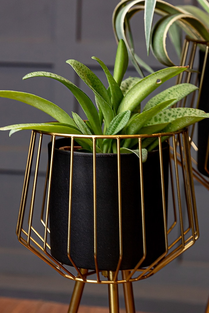 Black & Shiny Gold Mild Steel Planters (Set of 2) by Logam at Pernia's Pop Up Shop