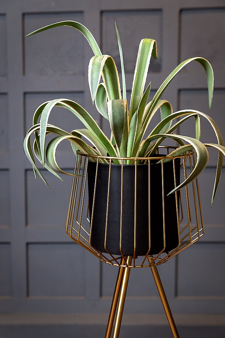 Black & Shiny Gold Mild Steel Planters (Set of 2) by Logam at Pernia's Pop Up Shop