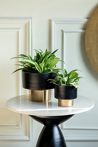 Black & Gold Metal Planter by Logam
