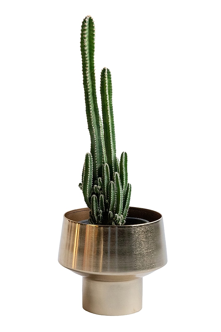 Shiny Gold Metal Planter by Logam at Pernia's Pop Up Shop