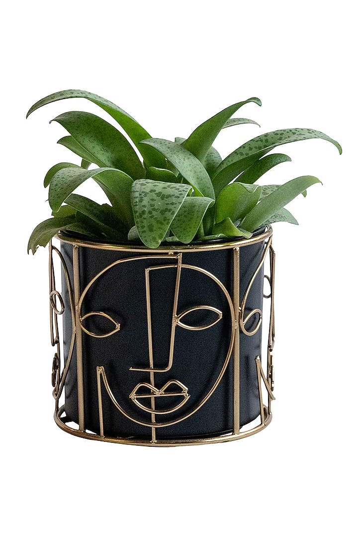 Black & Gold Metal Planter by Logam at Pernia's Pop Up Shop