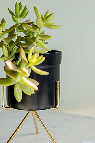 Black & Gold Metal Planter by Logam