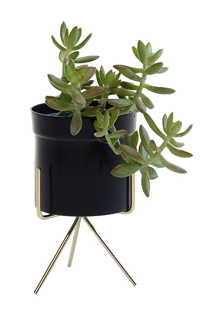 Black & Gold Metal Planter by Logam at Pernia's Pop Up Shop
