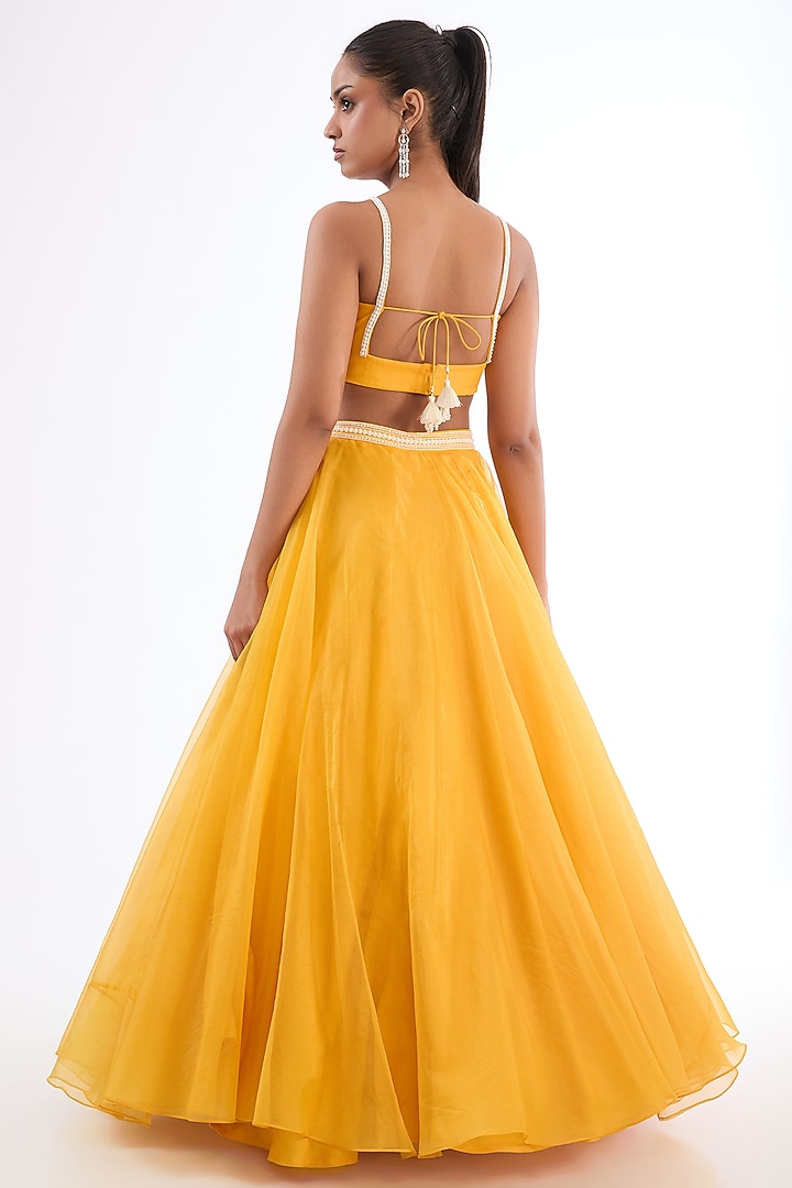 sachin and babi light blue dress Mango Yellow Georgette Sequins Hand Embroidered Ruffled Gown by Ewoke at  Pernia's Pop Up Shop 2026