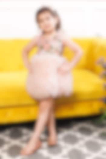 Peach Cotton & Mesh Hand Embroidered Ruffled Dress For Girls by The Lush Affair at Pernia's Pop Up Shop