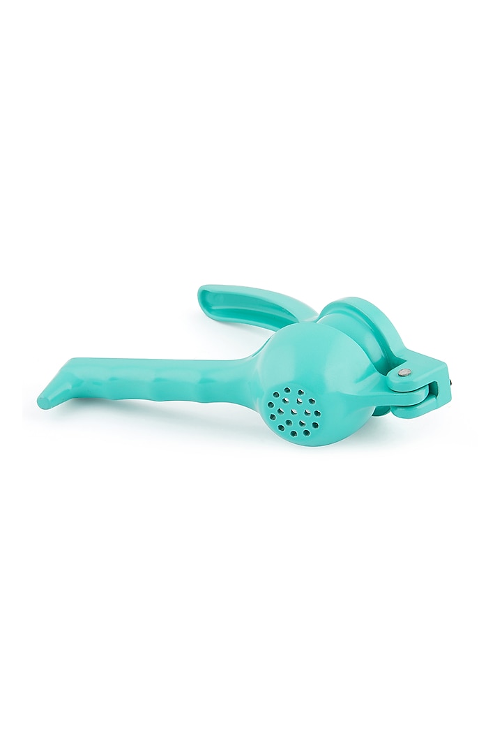 Aqua Green Stainless Steel Lemon Squeezer by Living with Elan