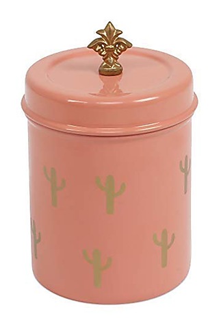 Elan Cactus Canister, Stainless Steel, 0.5Litres (Peach) by Living with Elan