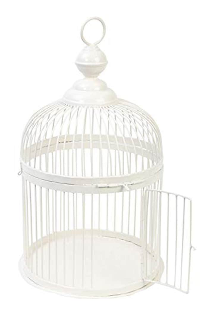Ivory Galvanized Steel Cage by Living with Elan