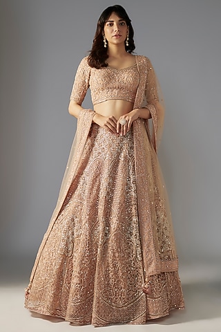 Nude Net Hand Embroidered Lehenga Set by Maisolos