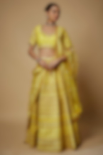 Yellow Raw Silk Aari Embroidered Wedding Lehenga Set by Maisolos at Pernia's Pop Up Shop