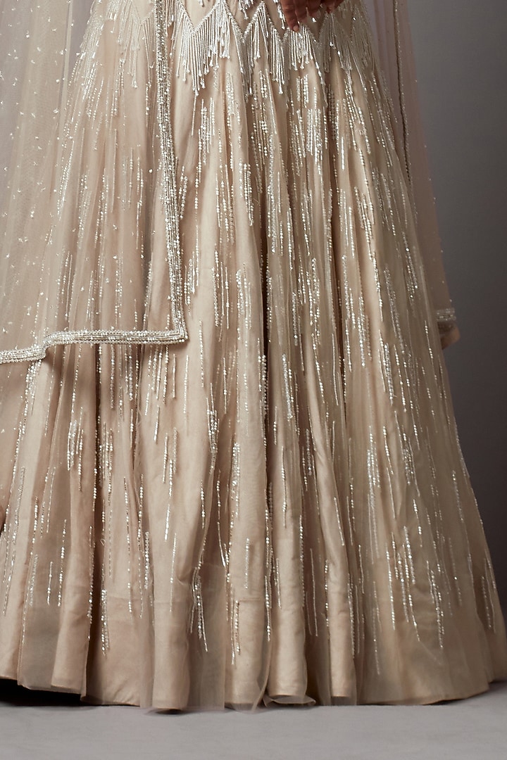 Greige Net Handwork Bridal Lehenga Set by Mala and Kinnary at Pernia's Pop Up Shop