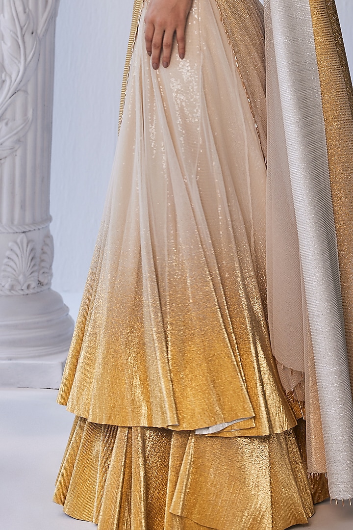 Gold on Gold Foil Lehenga