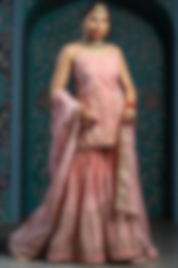 Salmon Pink Velvet Gota Embroidered Pleated Sharara Set For Girls by Mei & Zu at Pernia's Pop Up Shop