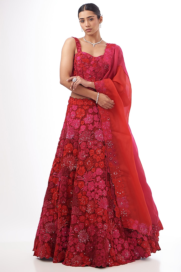 Red & Pink Tulle Aari Embroidered Lehenga Set by Mishru