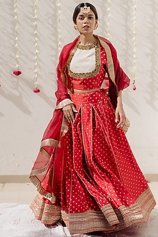 Maroon Organza Dupatta by Mimamsaa