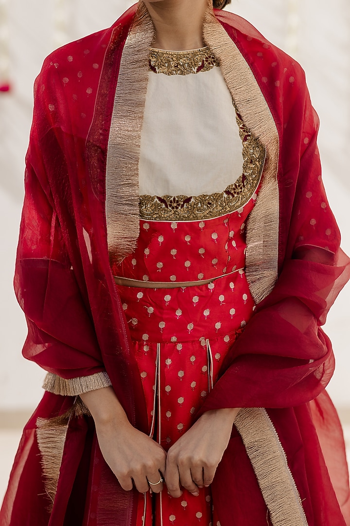 Maroon Organza Dupatta by Mimamsaa at Pernia's Pop Up Shop