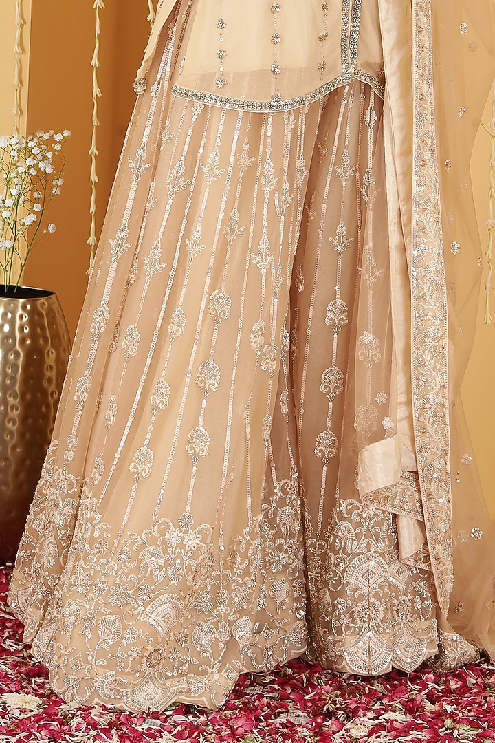 Light Beige Double Net Cutdana Embroidered Kurta Set by Milu Madan at Pernia's Pop Up Shop