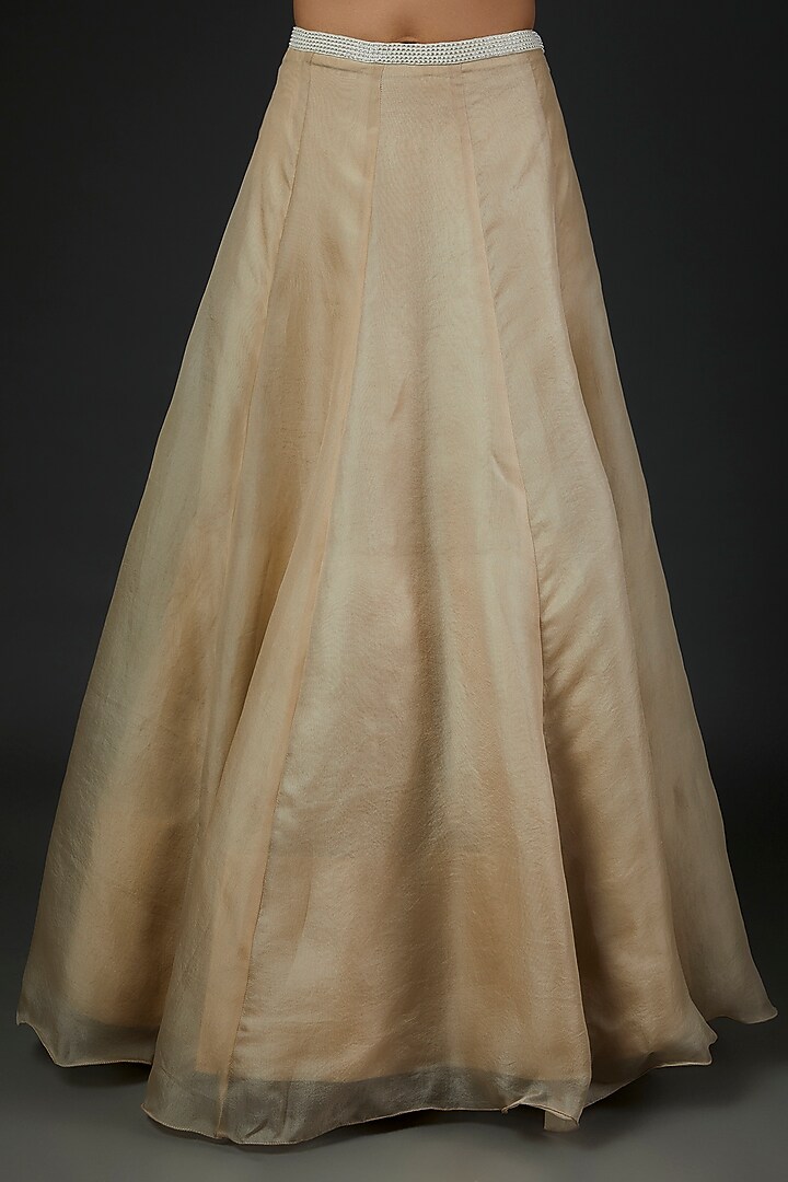 Champagne Organza Wedding Lehenga Set by Malasa at Pernia's Pop Up Shop