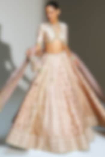 Blush Pink Banarasi Silk Chanderi Hand Embroidered Bridal Lehenga Set by Mahima Mahajan at Pernia's Pop Up Shop
