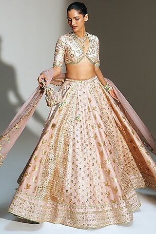 Blush Pink Banarasi Silk Chanderi Hand Embroidered Lehenga Set by Mahima Mahajan