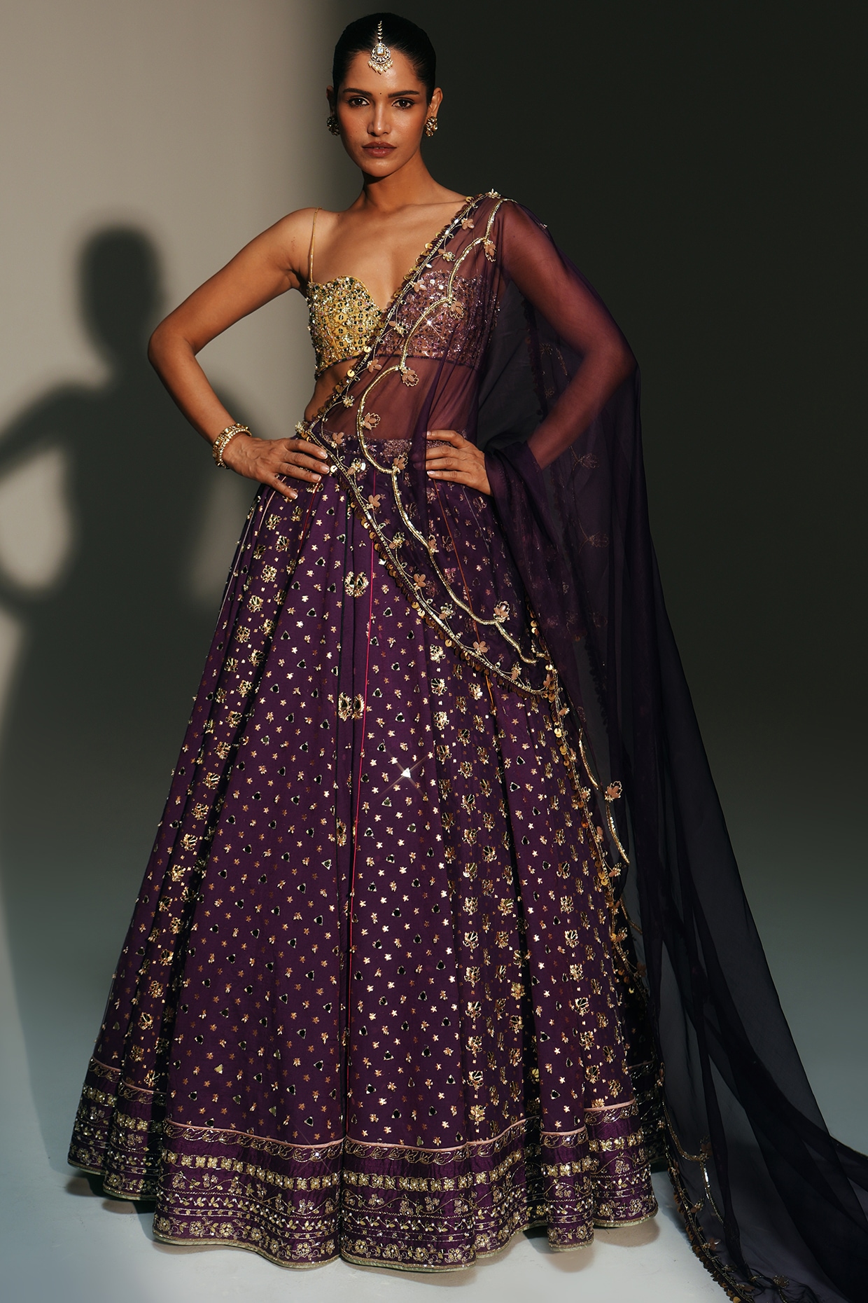 Mahima Mahajan Grapevine Banarasi Silk Chanderi Hand Embroidered Lehenga Set