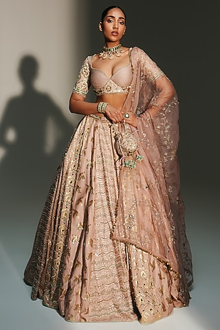 Blush Pink Banarasi Silk Chanderi Hand Embroidered Lehenga Set by Mahima Mahajan