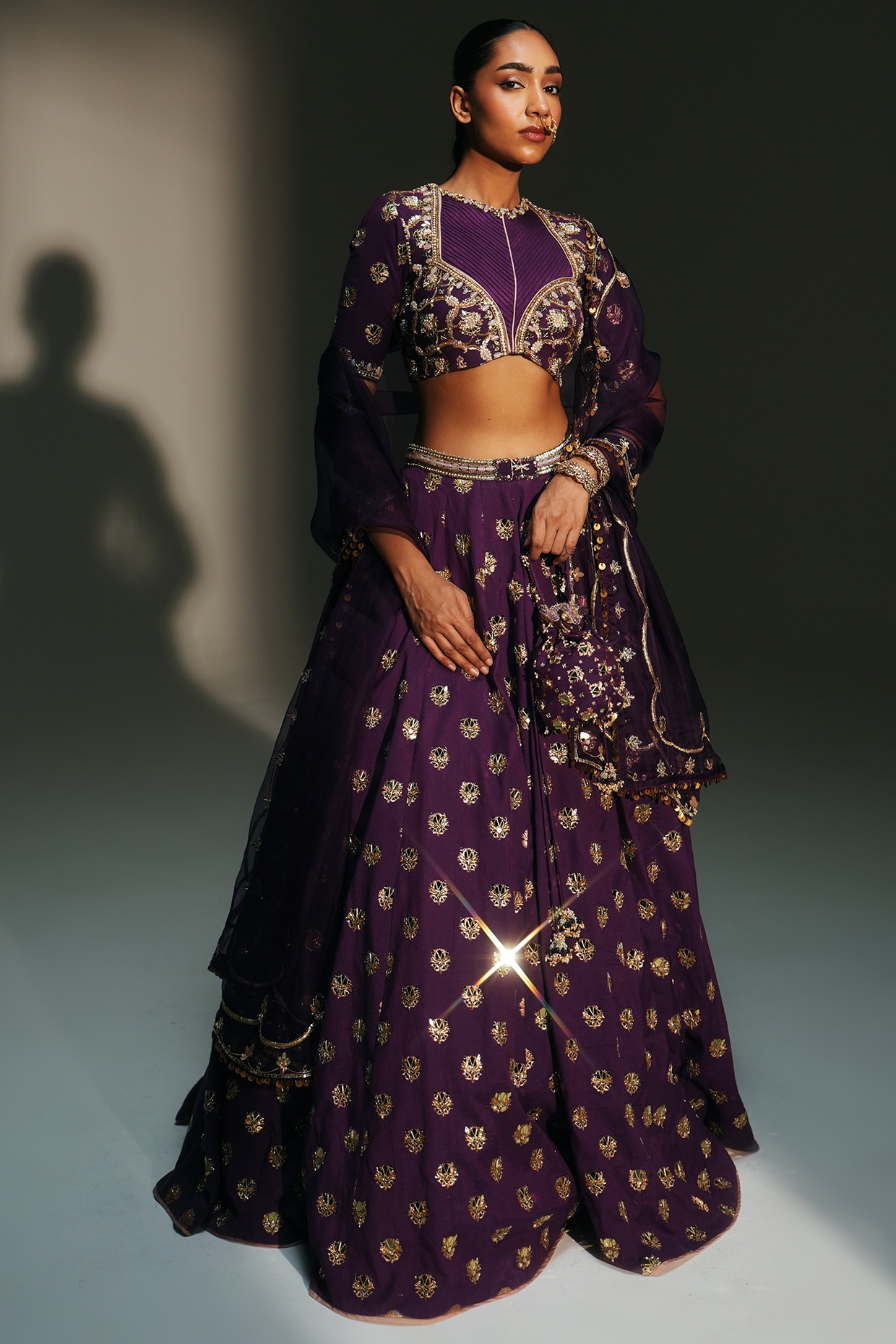 Mahima Mahajan Grapevine Banarasi Silk Chanderi Hand Embroidered Lehenga Set