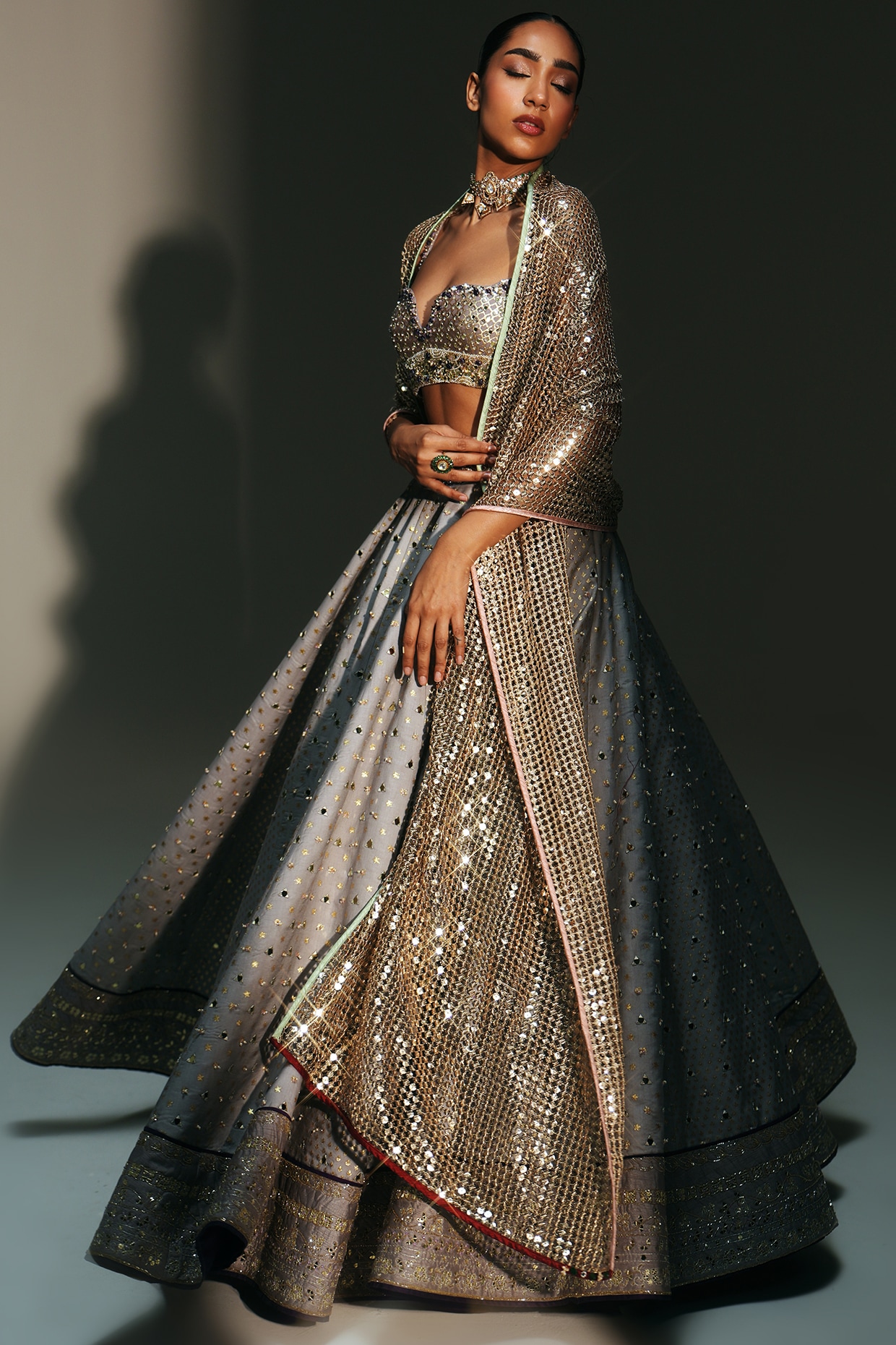 Mahima Mahajan Platinum Banarasi Chanderi Hand Embroidered Lehenga Set