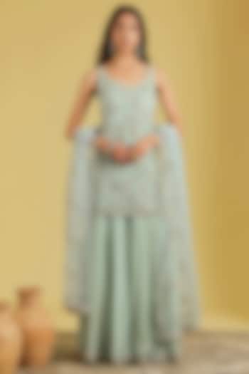 Pista Net Embroidered Gharara Set by MeenaGurnam at Pernia's Pop Up Shop