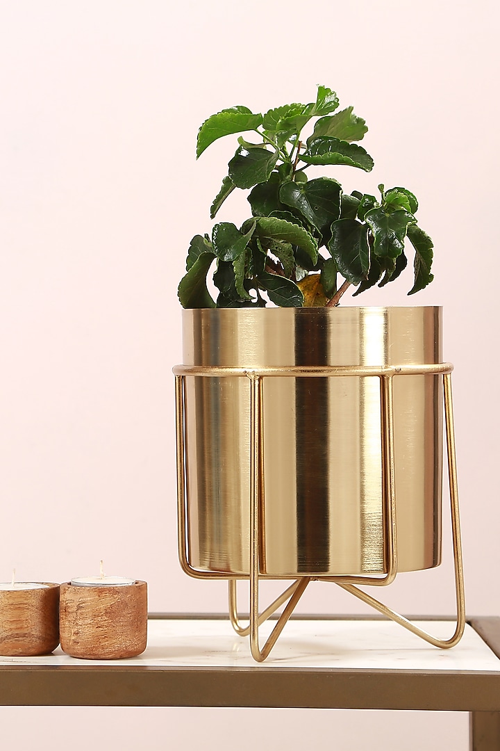 Gold Planter In Iron With Detachable Stand by Manor House