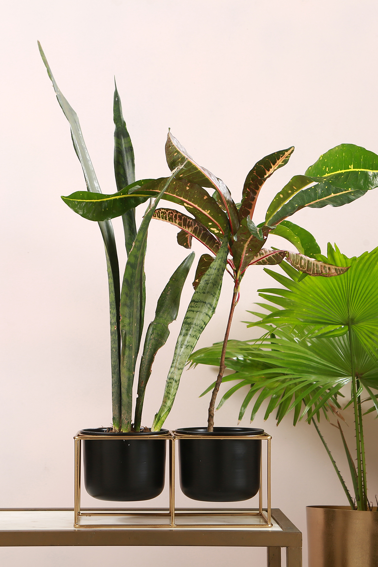 Black Iron Mini Planters With Detachable Stand(Set of 2) by Manor House at Pernia's Pop Up Shop