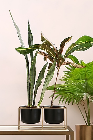 Black Iron Mini Planters With Detachable Stand(Set of 2) by Manor House