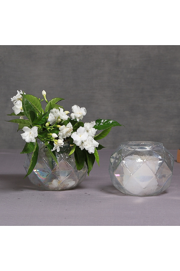 Transparent Glass Vase (Set of 2) by Manor House