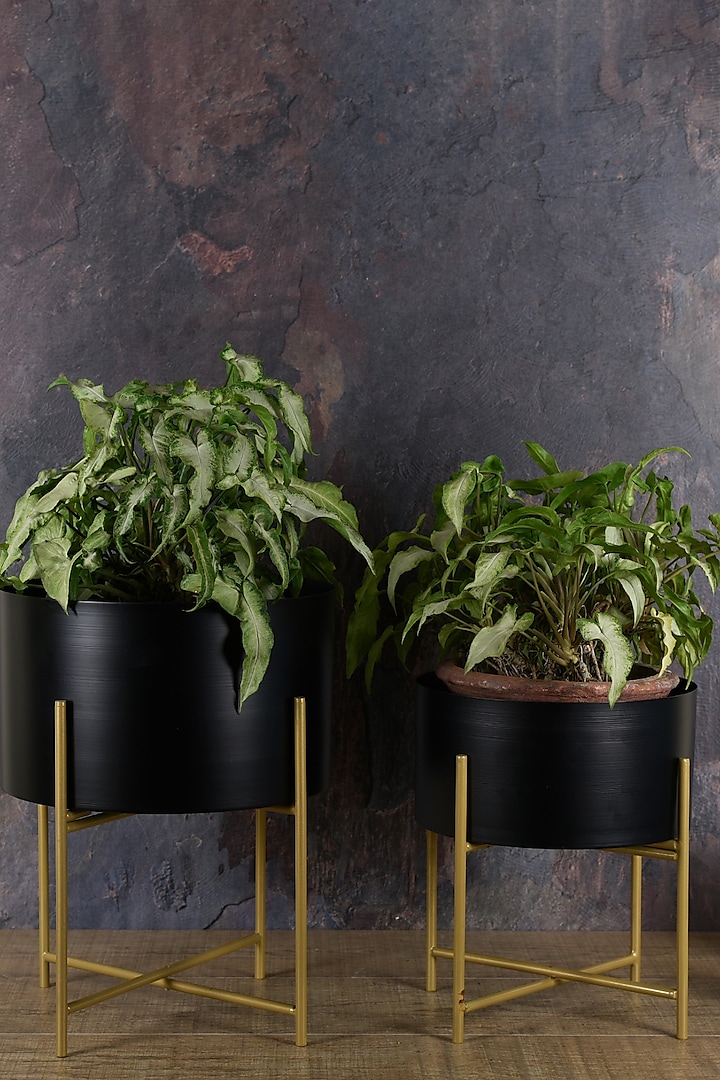 Black Planter With Detachable Gold Stand by Manor House