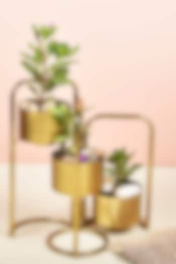 Gold Finish Foldable Planter With 3 Detachable Pots by Manor House