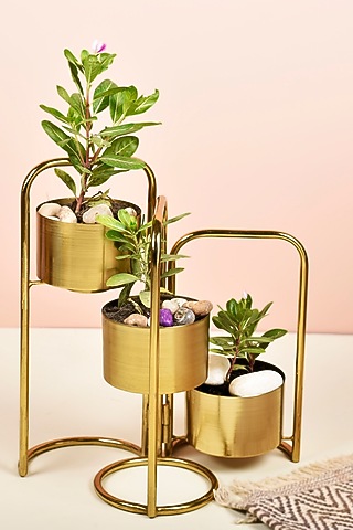 Gold Finish Foldable Planter With 3 Detachable Pots by Manor House