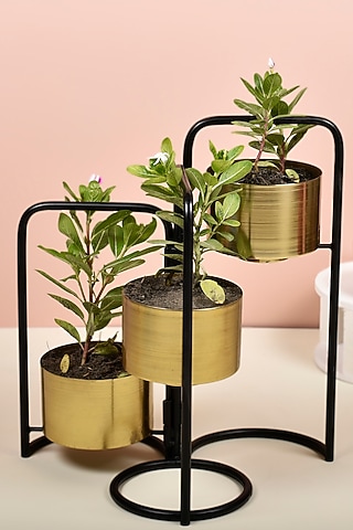 Black Foldable Planter With 3 Detachable Gold Finished Pots by Manor House