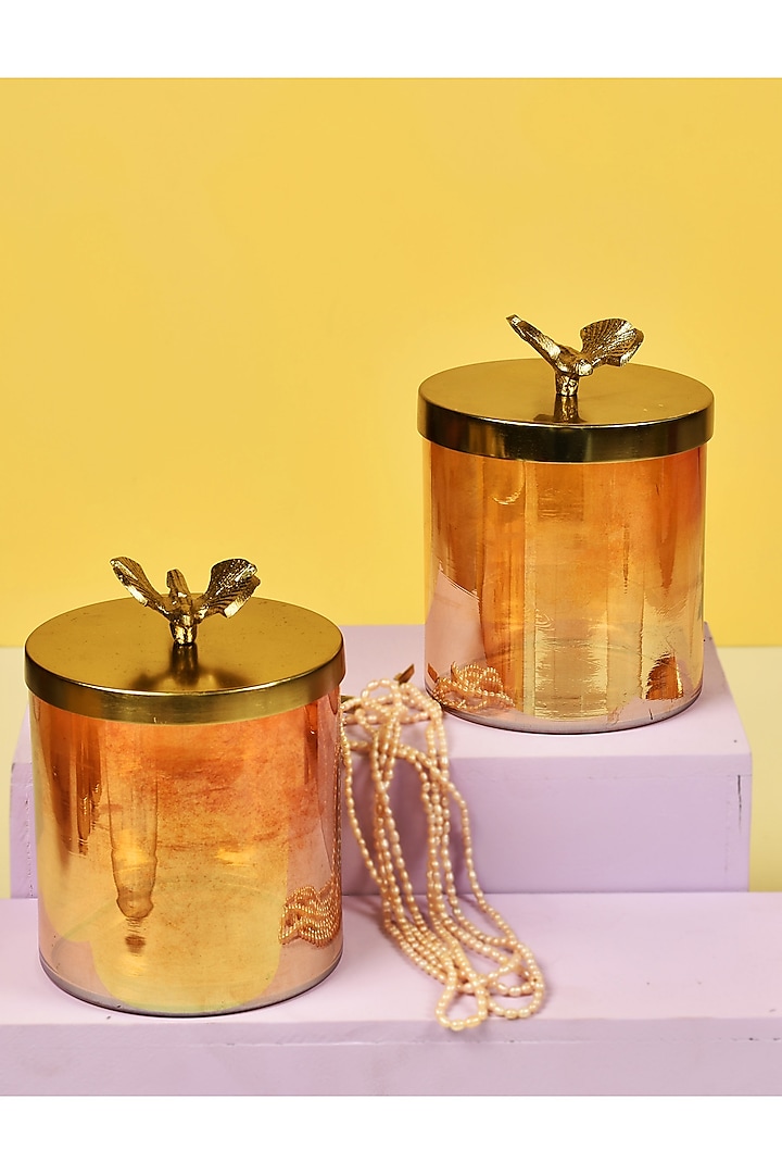 Lustre Glass Jars With Metal Pot Water Fly Lid (Set of 2) by Manor House at Pernia's Pop Up Shop