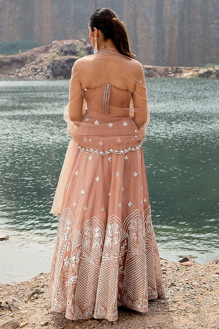 Champagne Organza Mirror Embroidered Wedding Lehenga Set by Label Moni K at Pernia's Pop Up Shop