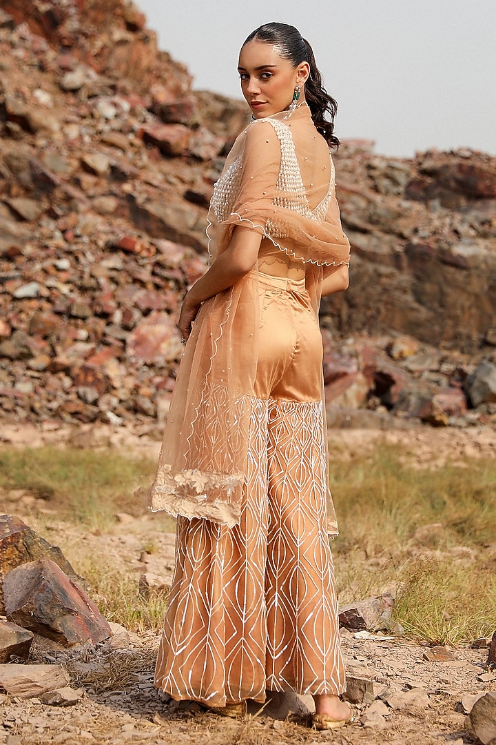 Champagne Net Embroidered Gharara Set by Label Moni K at Pernia's Pop Up Shop