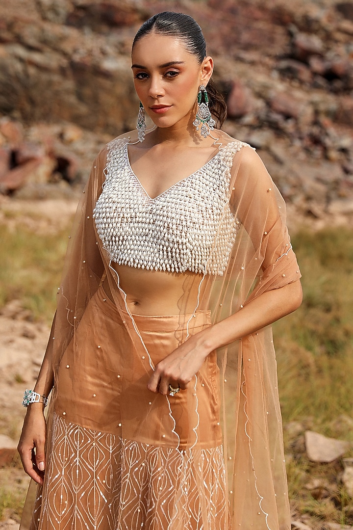 Champagne Net Embroidered Gharara Set by Label Moni K at Pernia's Pop Up Shop