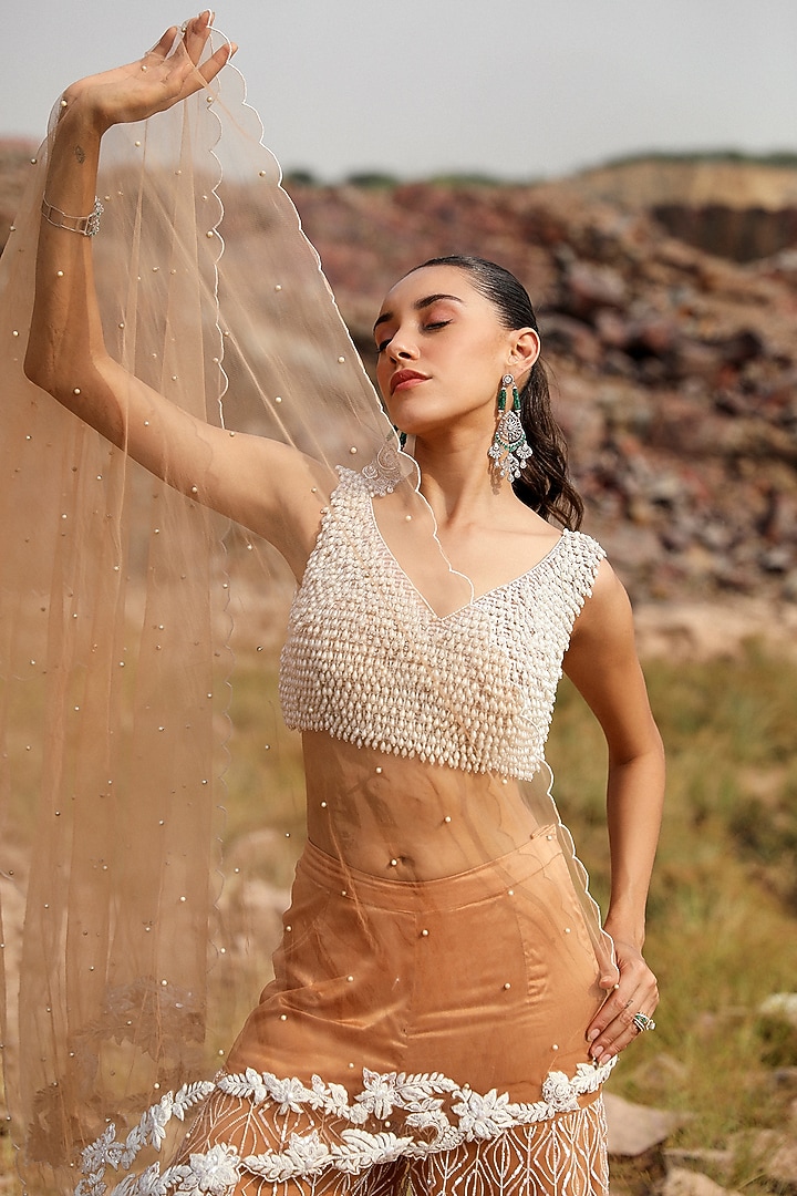 Champagne Net Embroidered Gharara Set by Label Moni K at Pernia's Pop Up Shop