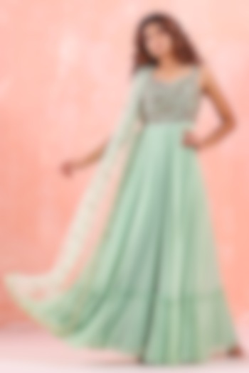 Pastel Green Embroidered Gown by Mirroir