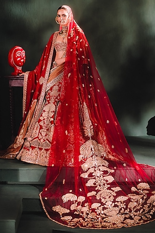 Cranberry Raw Silk & Georgette Tissue Embroidered Lehenga Set by Masaba