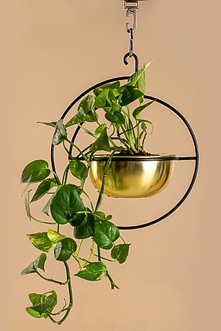 Gold Iron Hanging Planter by Muun Home
