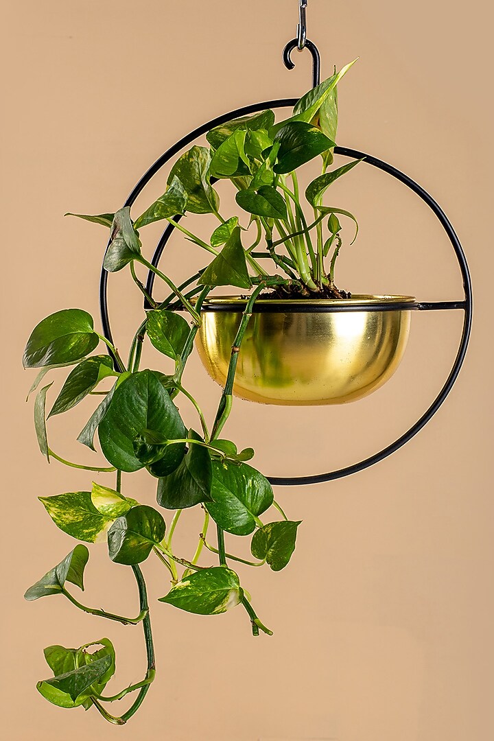 Gold Iron Hanging Planter by Muun Home at Pernia's Pop Up Shop