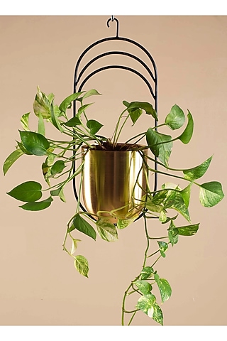 Gold Iron Hanging Planter by Muun Home