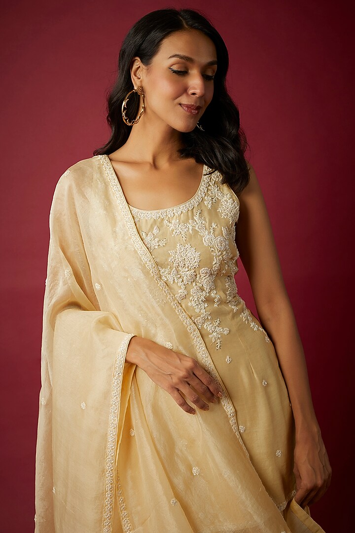 Sandalwood Silk Chanderi Embroidered Kurta Set by Nabo at Pernia's Pop Up Shop