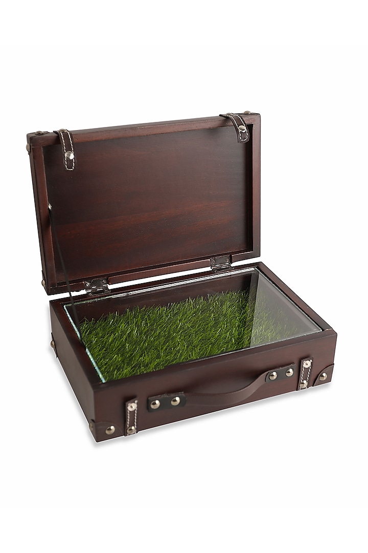 Brown Mango Wood Suitcase Platter With Faux Grass by HOUSE OF NEEBA