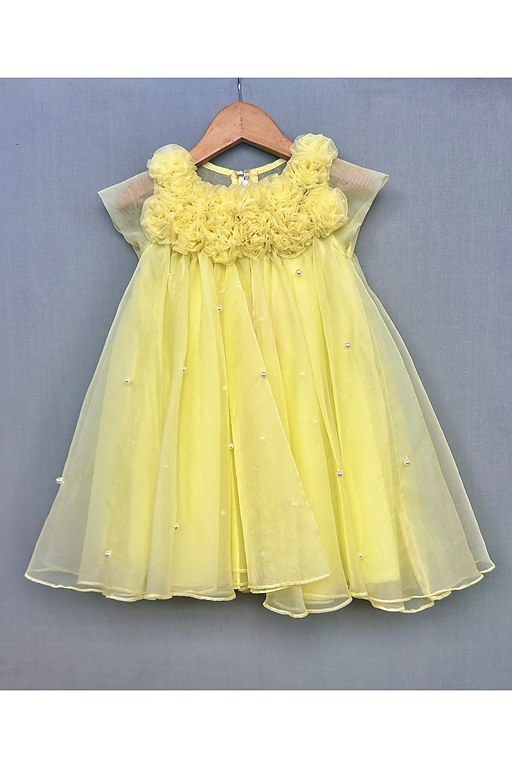 Lime Yellow Organza Floral Embellished A-Line Dress For Girls by Label Neeti at Pernia's Pop Up Shop